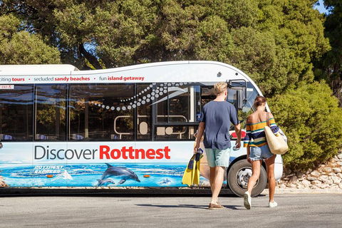 Discover Rottnest With Ferry & Bus Tour From Perth Or Fremantle - Kempsey Accommodation 1
