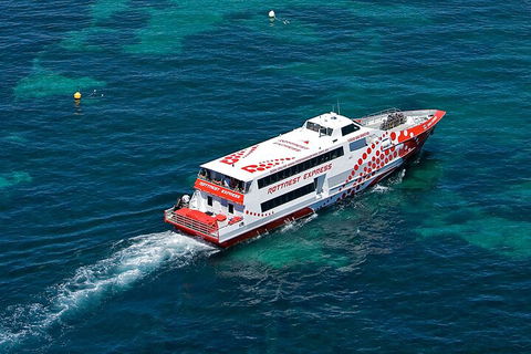 Discover Rottnest With Ferry & Bus Tour From Perth Or Fremantle - Kempsey Accommodation 3