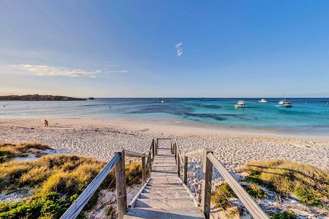 Discover Rottnest With Ferry & Bus Tour From Perth Or Fremantle - Kempsey Accommodation 4