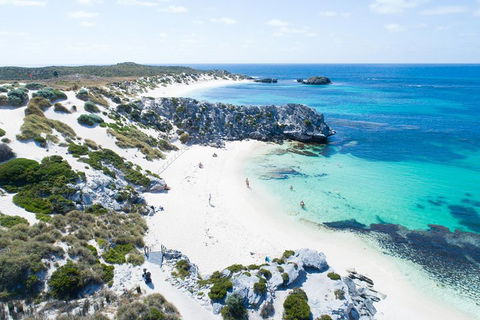 Discover Rottnest With Ferry & Bus Tour From Perth Or Fremantle - Kempsey Accommodation 5