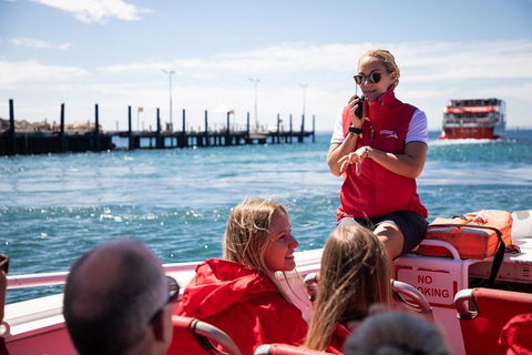 Adventure Rottnest Tour With Ferry & Adventure Cruise From Perth Or Fremantle - Kempsey Accommodation 4