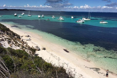 Experience Rottnest With Ferry & Bike Hire From Perth Or Fremantle - Kempsey Accommodation 0