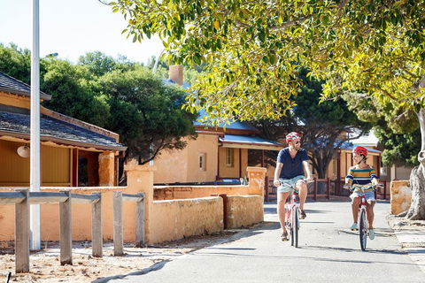 Experience Rottnest With Ferry & Bike Hire From Perth Or Fremantle - Kempsey Accommodation 1