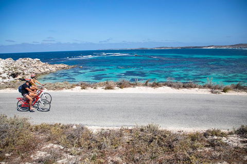 Experience Rottnest With Ferry & Bike Hire From Perth Or Fremantle - Kempsey Accommodation 2