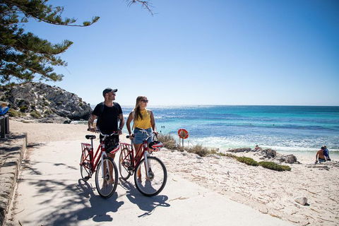 Experience Rottnest With Ferry & Bike Hire From Perth Or Fremantle - Kempsey Accommodation 4