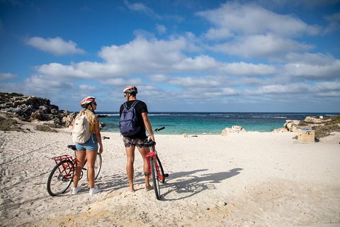 Experience Rottnest With Ferry & Bike Hire From Perth Or Fremantle - Kempsey Accommodation 5