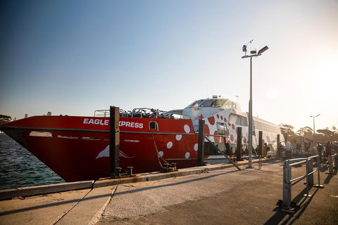 Rottnest Island Round-Trip Ferry From Perth Or Fremantle - Kempsey Accommodation 2