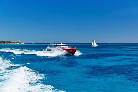 Rottnest Island Round-Trip Ferry From Perth Or Fremantle - Kempsey Accommodation 4