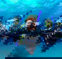 Great Barrier Reef Diving and Snorkeling Cruise from Cairns - Kempsey Accommodation