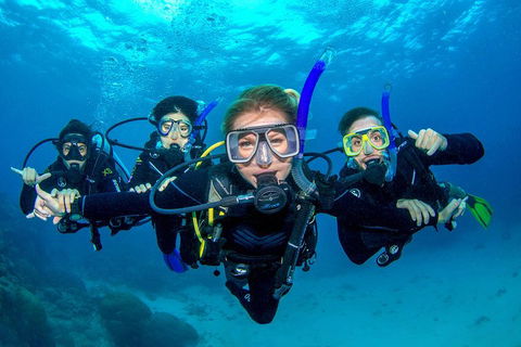 Great Barrier Reef Diving And Snorkeling Cruise From Cairns - Kempsey Accommodation 0