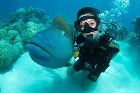 Great Barrier Reef Diving And Snorkeling Cruise From Cairns - Kempsey Accommodation 2