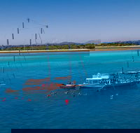 Ocean Free Green Island  Great Barrier Reef Snorkel Cruise Cairns 25 guests - Kempsey Accommodation