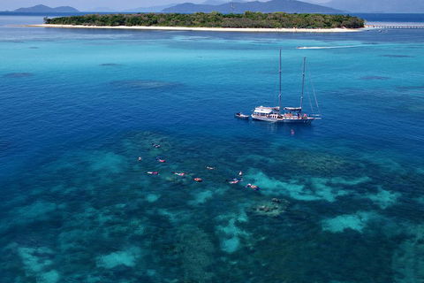 Ocean Free Green Island & Great Barrier Reef Snorkel Cruise, Cairns 25 Guests - Kempsey Accommodation 2