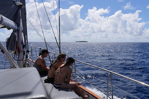 Ocean Free Green Island & Great Barrier Reef Snorkel Cruise, Cairns 25 Guests - Kempsey Accommodation 4
