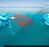 Ocean Freedom Great Barrier Reef Personal Luxury Snorkel  Dive Cruise Cairns - Kempsey Accommodation