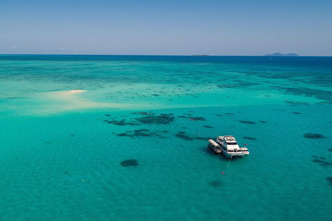 Ocean Freedom Great Barrier Reef Personal Luxury Snorkel & Dive Cruise, Cairns - Kempsey Accommodation 2