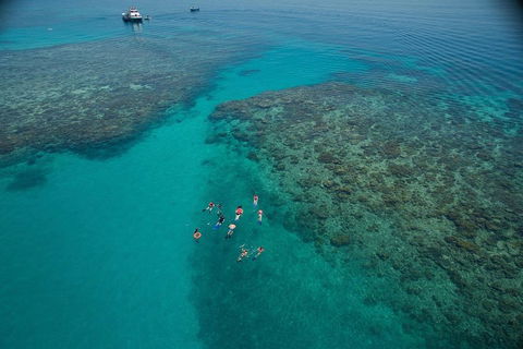 Ocean Freedom Great Barrier Reef Personal Luxury Snorkel & Dive Cruise, Cairns - Kempsey Accommodation 3