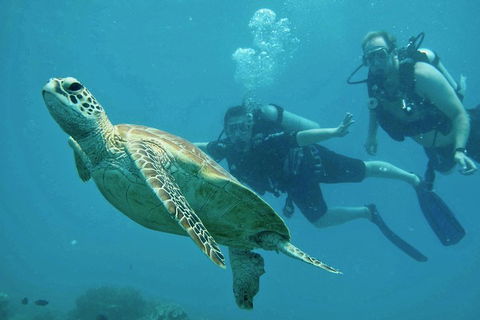 Ocean Freedom Great Barrier Reef Personal Luxury Snorkel & Dive Cruise, Cairns - Kempsey Accommodation 4