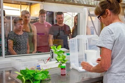 Australian Butterfly Sanctuary - Kempsey Accommodation 5