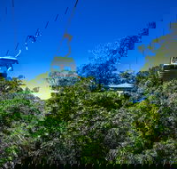 Classic Kuranda by Skyrail and Scenic Railway Including Rainforestation Koala and Wildlife Park and Pamagirri Aboriginal Experi - Kempsey Accommodation