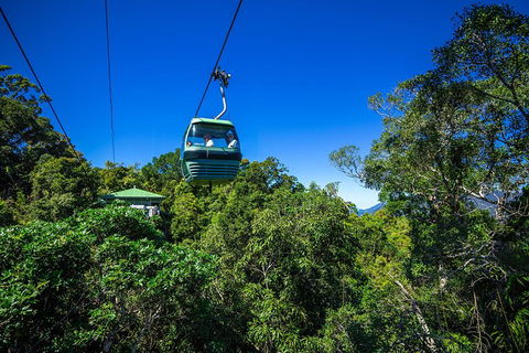 Classic Kuranda By Skyrail And Scenic Railway Including Rainforestation, Koala And Wildlife Park And Pamagirri Aboriginal Experi - Kempsey Accommodation 0