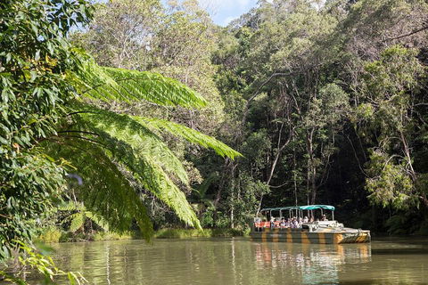 Best Of Kuranda Including Skyrail, Kuranda Scenic Railway And Rainforestation - Kempsey Accommodation 5