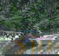 Kuranda Rainforestation Nature Park Ticket BNP - Kempsey Accommodation