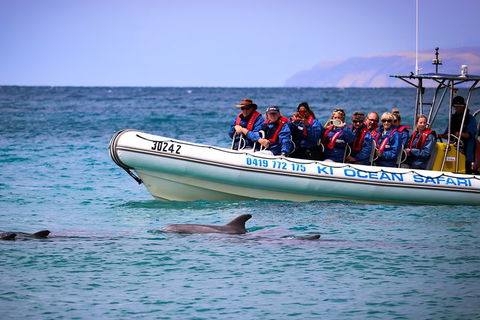 Kangaroo Island 75-Minute Ocean Safari - Kempsey Accommodation 4