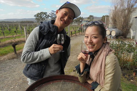 Swan Valley River Cruise And Wine Tasting Day Trip From Perth - Kempsey Accommodation 0