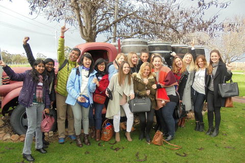 1/2 Day Swan Valley Wine Cheese & Chocolate Tour Inc Afternoon Cruise To Perth - Kempsey Accommodation 5