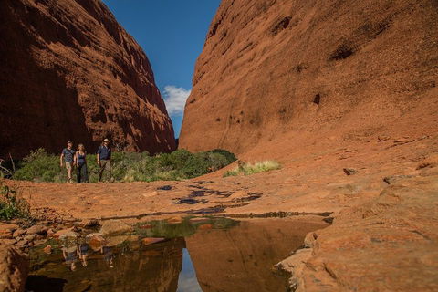 4 Day/3 Night Perentie Dreaming Safari - Kempsey Accommodation 3