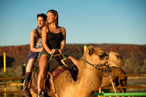 4 Day/3 Night Perentie Dreaming Safari - Kempsey Accommodation 4