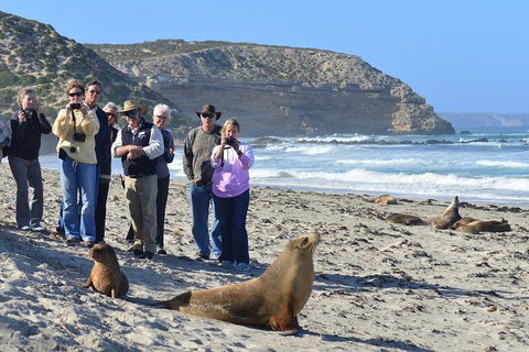 2-Day Kangaroo Island 4WD Small-Group Tour From Adelaide - Kempsey Accommodation 3