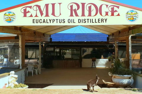 2 Day Ultimate Kangaroo Island With Return Ferry - Kempsey Accommodation 3