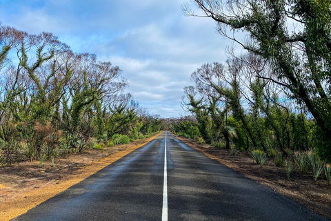 2 Day Ultimate Kangaroo Island With Return Ferry - Kempsey Accommodation 4