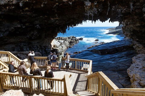 Full Day Flinders Chase Tour From Kangaroo Island - Kempsey Accommodation 1