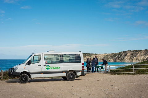 Full Day Flinders Chase Tour From Kangaroo Island - Kempsey Accommodation 3