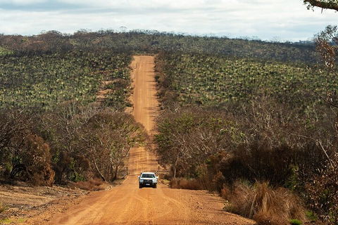 Full Day Flinders Chase Tour From Kangaroo Island - Kempsey Accommodation 4