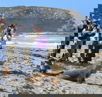 Full day Seal Bay Experience departing from Kangaroo Island - Kempsey Accommodation