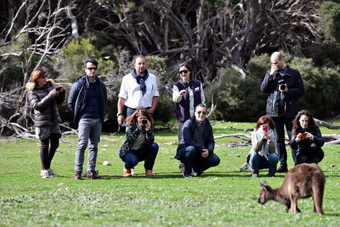 Small-Group Kangaroo Island 4WD Tour From Adelaide - Kempsey Accommodation 2