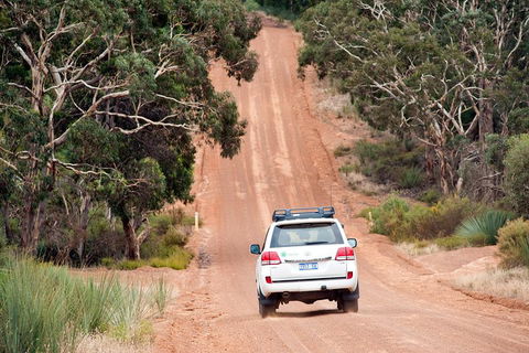 Small-Group Kangaroo Island 4WD Tour From Adelaide - Kempsey Accommodation 3