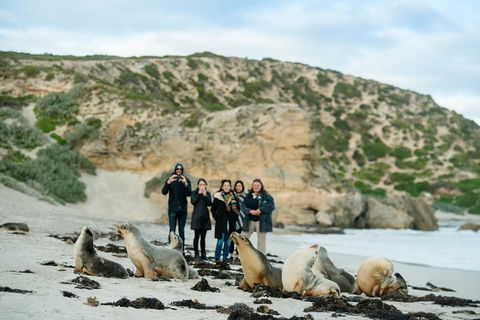 Small-Group Kangaroo Island 4WD Tour From Adelaide - Kempsey Accommodation 4