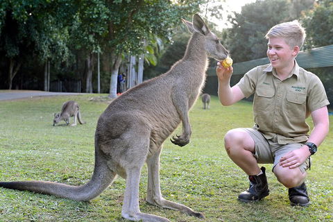 Small-Group Australia Zoo Day Trip From Brisbane - Kempsey Accommodation 4