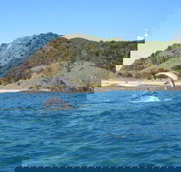 Kayaking with Dolphins in Byron Bay Guided Tour - Kempsey Accommodation