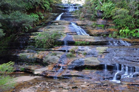 Blue Mountains Day Trip From Sydney With Amazing Lookouts (Private Tour) - Kempsey Accommodation 4