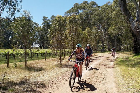 McLaren Vale Wine Tour By Bike - Kempsey Accommodation 1