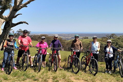 McLaren Vale Wine Tour By Bike - Kempsey Accommodation 2