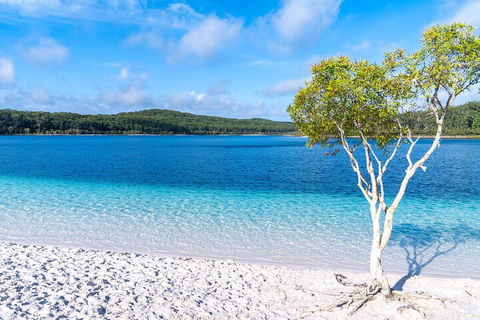 Lake McKenzie Full-Day Tour With Lunch From Hervey Bay - Kempsey Accommodation 1