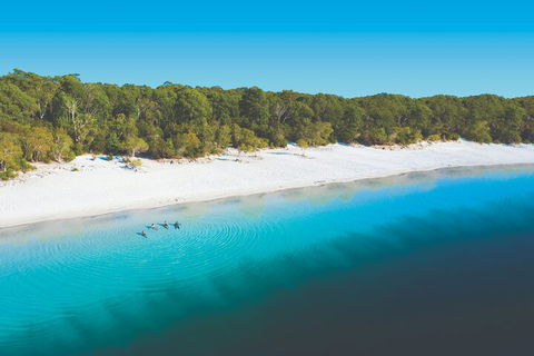 Lake McKenzie Full-Day Tour With Lunch From Hervey Bay - Kempsey Accommodation 4
