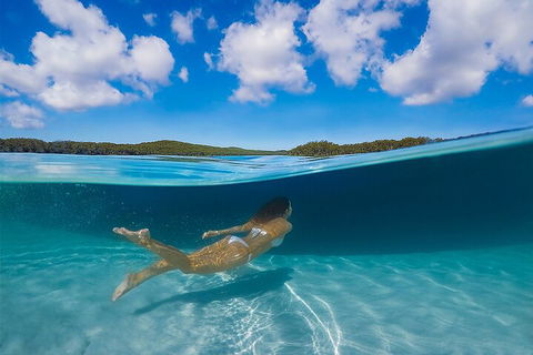 Lake McKenzie Full-Day Tour With Lunch From Hervey Bay - Kempsey Accommodation 5